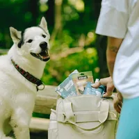 Uitstappakket voor de grote hond – zonder kom — afbeelding 2