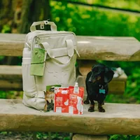 Uitstappakket voor de kleine hond – zonder kom — afbeelding 2