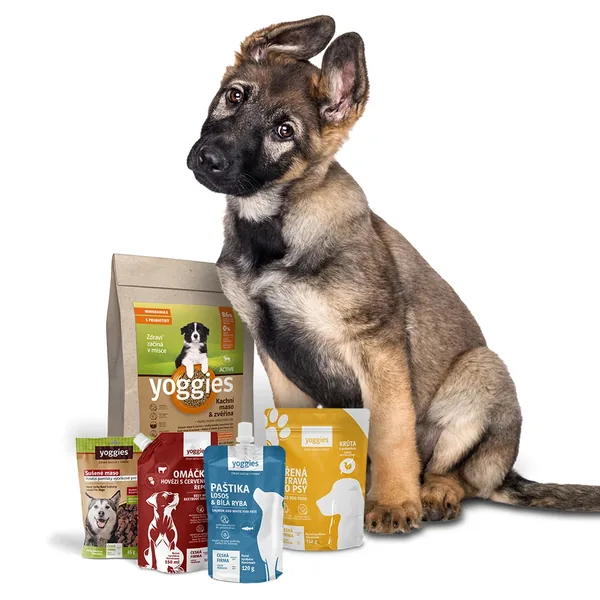 Yoggies reispakket voor de puppy - Active eend