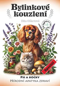 Kruidenmagie: De natuurlijke apotheek van gezondheid