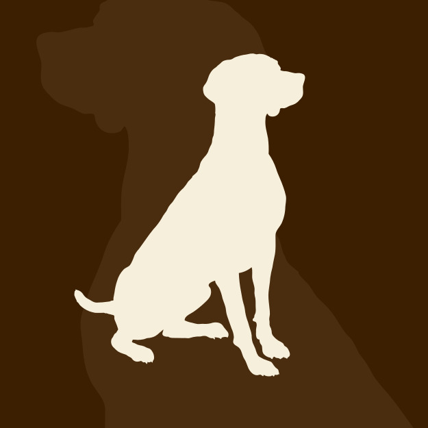 Hond