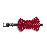 Rood hondenstrikje met stippen — afbeelding 2