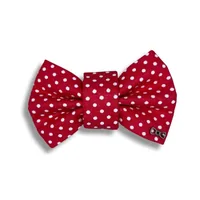 Rood hondenstrikje met stippen