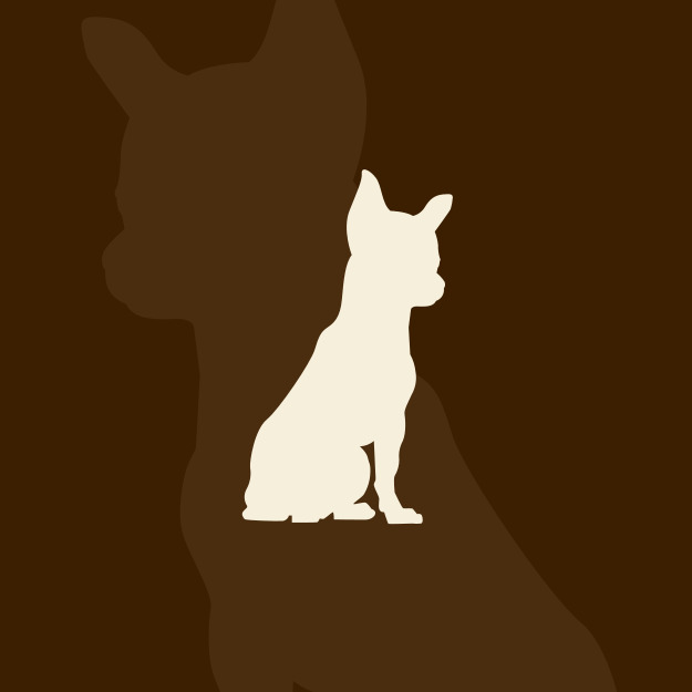 Kat